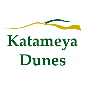 katameya_PNG